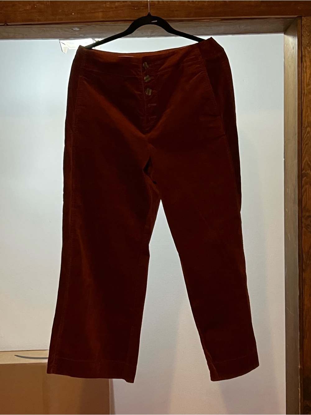Anthropologie Rust Corduroy High-Waist Pants